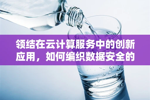 领结在云计算服务中的创新应用，如何编织数据安全的‘结’？