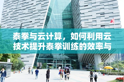 泰拳与云计算，如何利用云技术提升泰拳训练的效率与安全性？