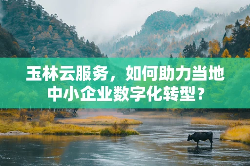 玉林云服务，如何助力当地中小企业数字化转型？
