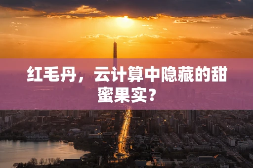 红毛丹，云计算中隐藏的甜蜜果实？