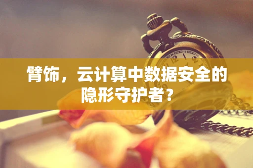 臂饰，云计算中数据安全的隐形守护者？