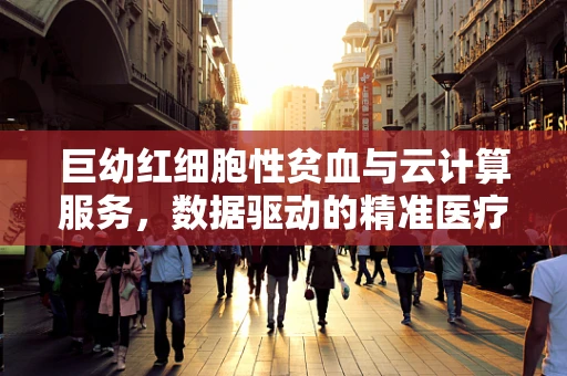 巨幼红细胞性贫血与云计算服务，数据驱动的精准医疗新视角