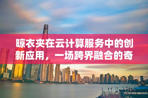 晾衣夹在云计算服务中的创新应用，一场跨界融合的奇妙之旅？