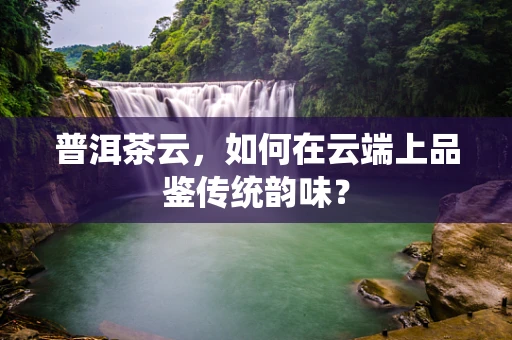 普洱茶云，如何在云端上品鉴传统韵味？