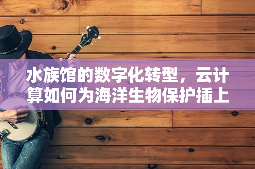 水族馆的数字化转型，云计算如何为海洋生物保护插上翅膀？