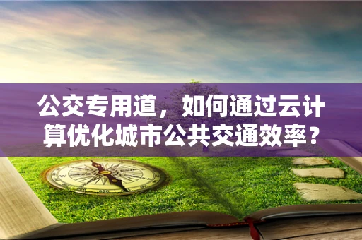 公交专用道，如何通过云计算优化城市公共交通效率？