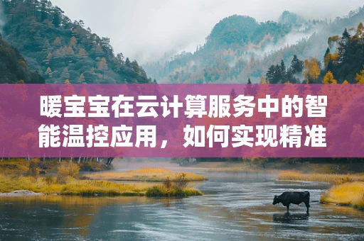 暖宝宝在云计算服务中的智能温控应用，如何实现精准舒适？