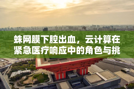 蛛网膜下腔出血，云计算在紧急医疗响应中的角色与挑战