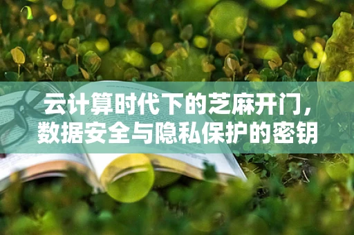 云计算时代下的芝麻开门，数据安全与隐私保护的密钥何在？