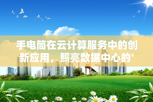 手电筒在云计算服务中的创新应用，照亮数据中心的‘暗区’？