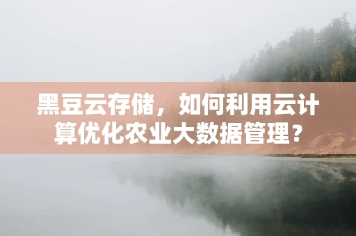 黑豆云存储，如何利用云计算优化农业大数据管理？