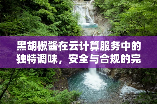 黑胡椒酱在云计算服务中的独特调味，安全与合规的完美融合