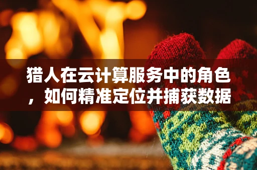 猎人在云计算服务中的角色，如何精准定位并捕获数据金矿？