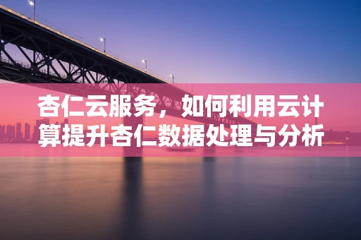 杏仁云服务，如何利用云计算提升杏仁数据处理与分析的效率？