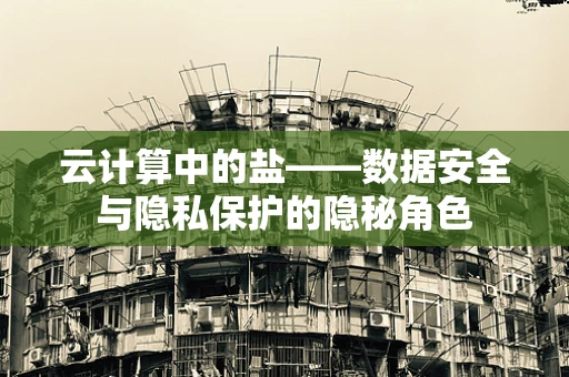 云计算中的盐——数据安全与隐私保护的隐秘角色