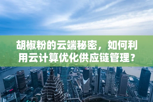胡椒粉的云端秘密，如何利用云计算优化供应链管理？