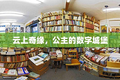 云上奇缘，公主的数字城堡