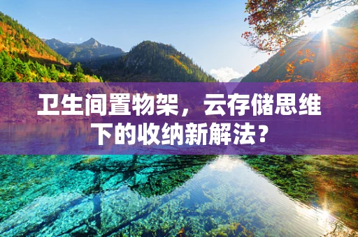 卫生间置物架，云存储思维下的收纳新解法？