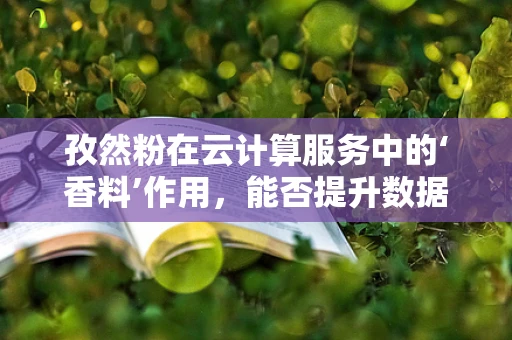 孜然粉在云计算服务中的‘香料’作用，能否提升数据处理的‘风味’？