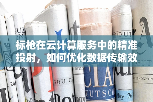 标枪在云计算服务中的精准投射，如何优化数据传输效率？