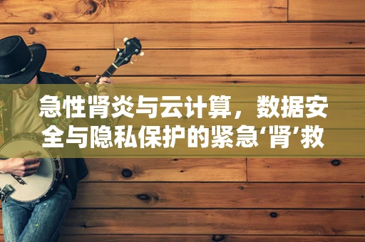 急性肾炎与云计算，数据安全与隐私保护的紧急‘肾’救？