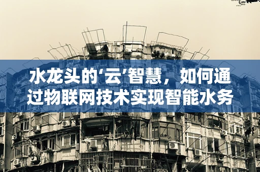 水龙头的‘云’智慧，如何通过物联网技术实现智能水务管理？