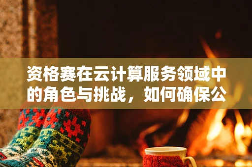 资格赛在云计算服务领域中的角色与挑战，如何确保公平与质量？