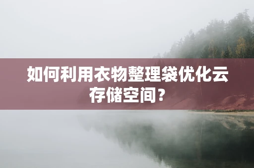 如何利用衣物整理袋优化云存储空间？
