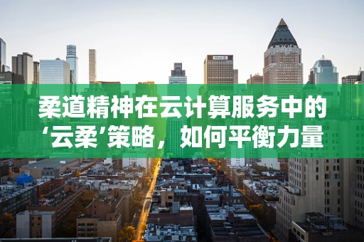 柔道精神在云计算服务中的‘云柔’策略，如何平衡力量与效率？