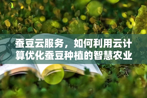 蚕豆云服务，如何利用云计算优化蚕豆种植的智慧农业新篇章？