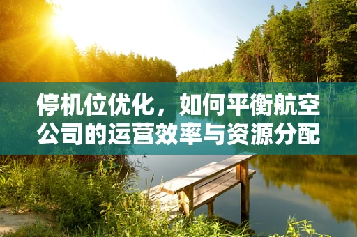 停机位优化，如何平衡航空公司的运营效率与资源分配？