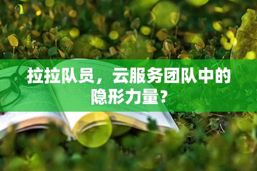 拉拉队员，云服务团队中的隐形力量？