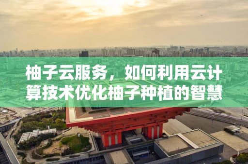 柚子云服务，如何利用云计算技术优化柚子种植的智慧决策？