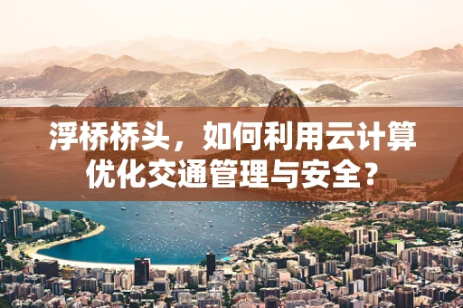 浮桥桥头，如何利用云计算优化交通管理与安全？