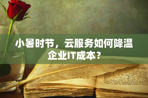 小暑时节，云服务如何降温企业IT成本？