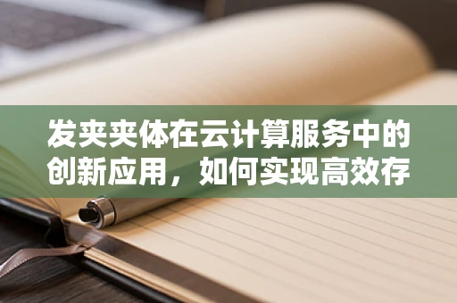 发夹夹体在云计算服务中的创新应用，如何实现高效存储与数据安全？