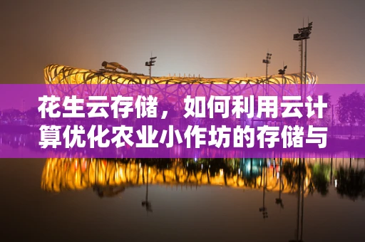 花生云存储，如何利用云计算优化农业小作坊的存储与分发？