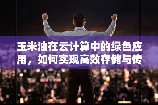 玉米油在云计算中的绿色应用，如何实现高效存储与传输？