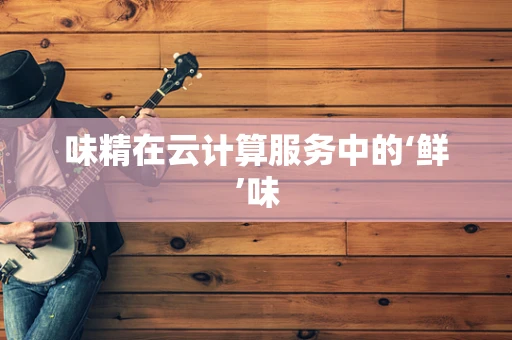 味精在云计算服务中的‘鲜’味