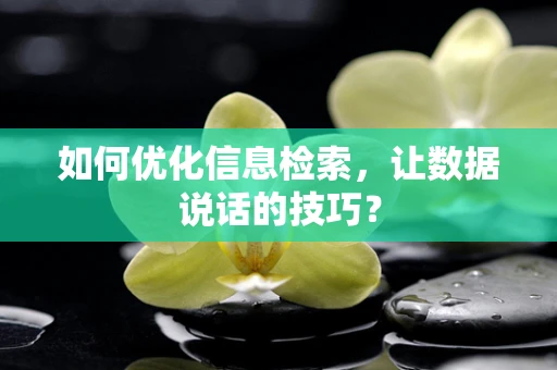 如何优化信息检索，让数据说话的技巧？