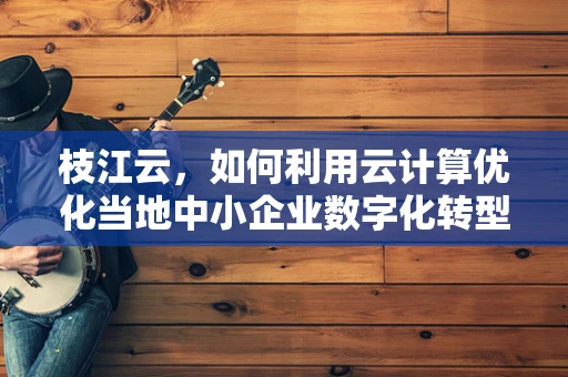枝江云，如何利用云计算优化当地中小企业数字化转型？