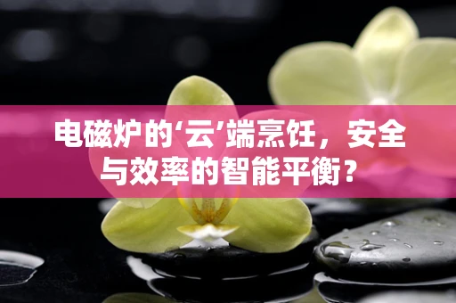 电磁炉的‘云’端烹饪，安全与效率的智能平衡？
