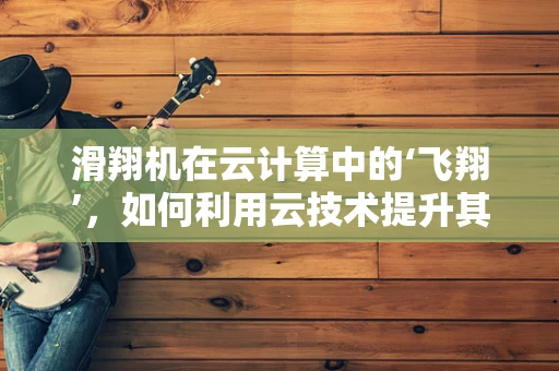 滑翔机在云计算中的‘飞翔’，如何利用云技术提升其性能与效率？