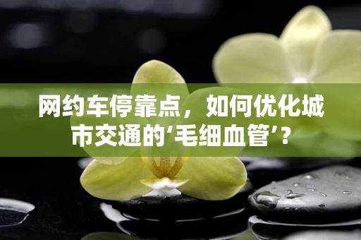 网约车停靠点，如何优化城市交通的‘毛细血管’？
