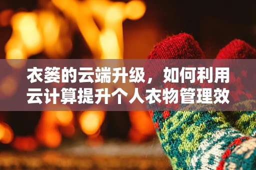 衣篓的云端升级，如何利用云计算提升个人衣物管理效率？