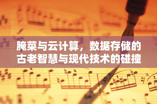 腌菜与云计算，数据存储的古老智慧与现代技术的碰撞