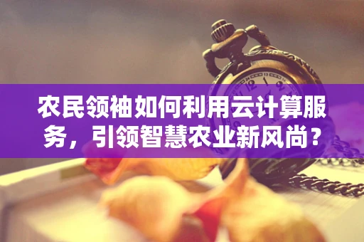 农民领袖如何利用云计算服务，引领智慧农业新风尚？