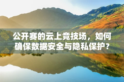 公开赛的云上竞技场，如何确保数据安全与隐私保护？
