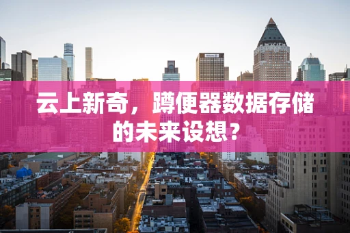 云上新奇，蹲便器数据存储的未来设想？