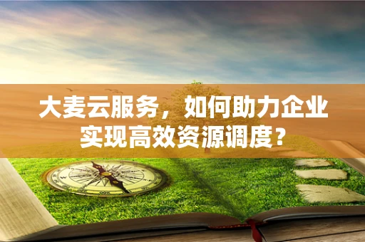 大麦云服务，如何助力企业实现高效资源调度？